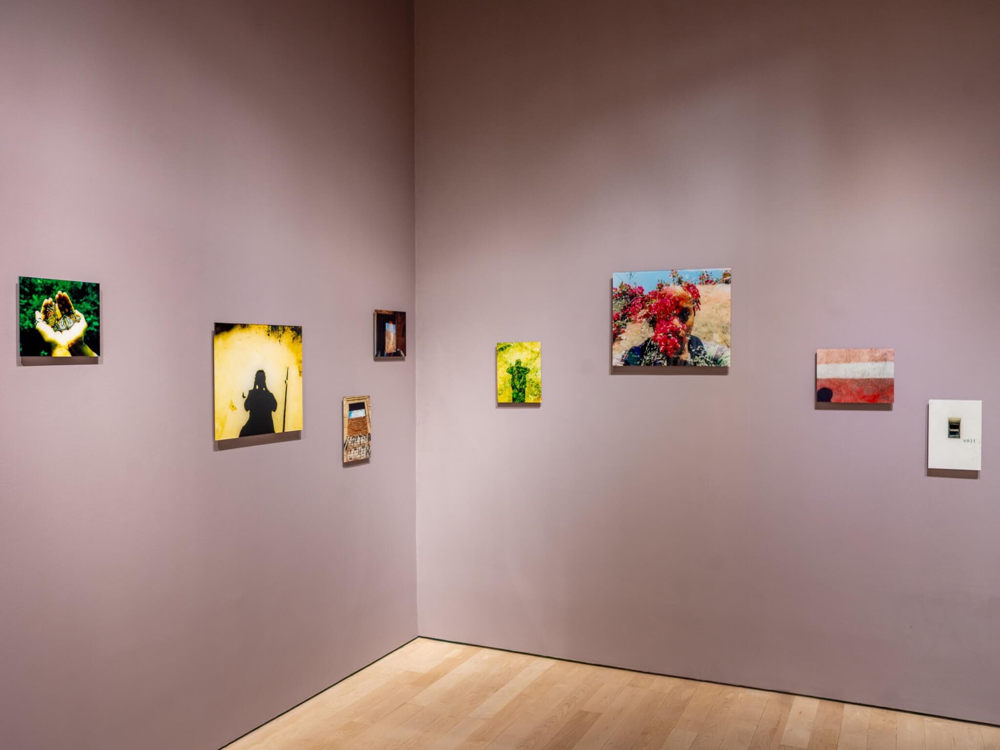 Color photographs hang on a gallery wall.